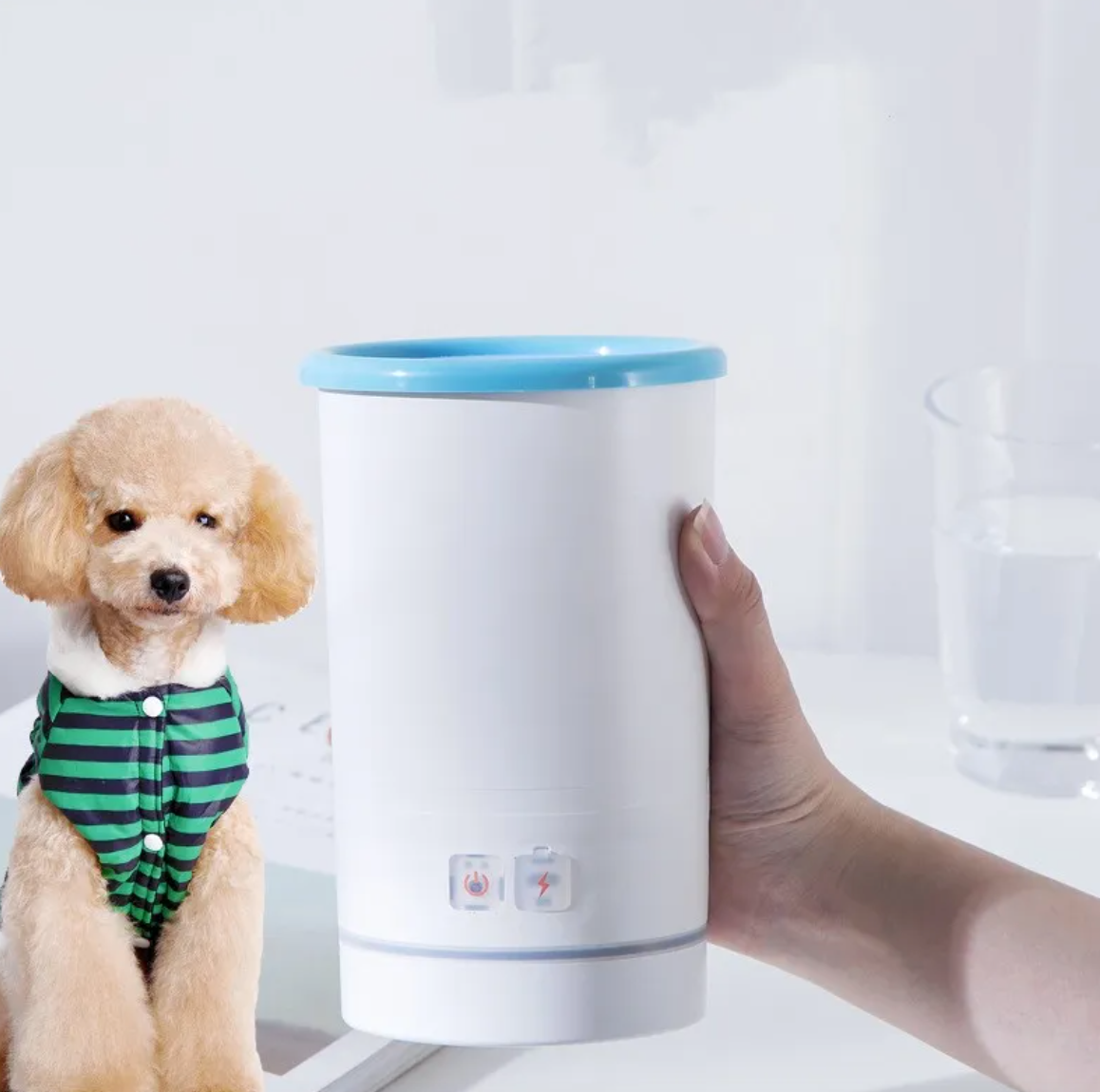 Paw Cleaner Cup